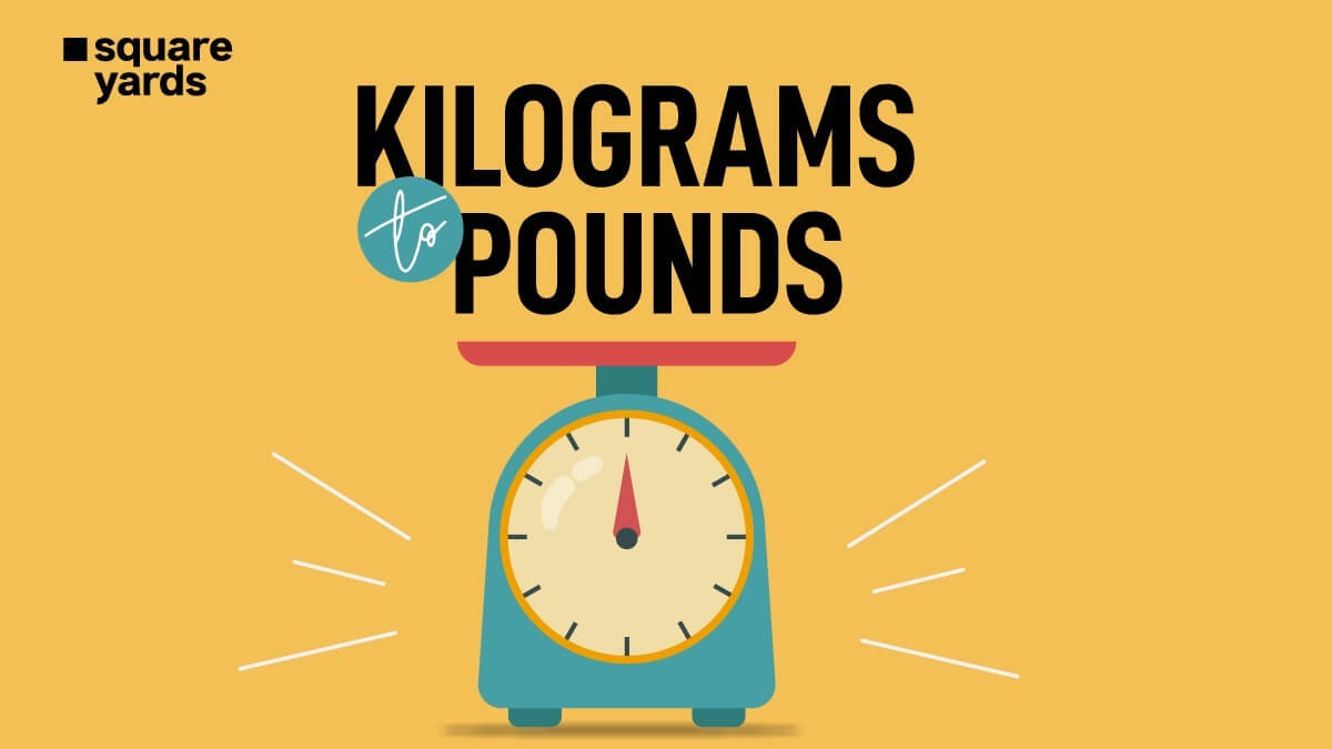 Conversion of 99 kg to Pounds Explained