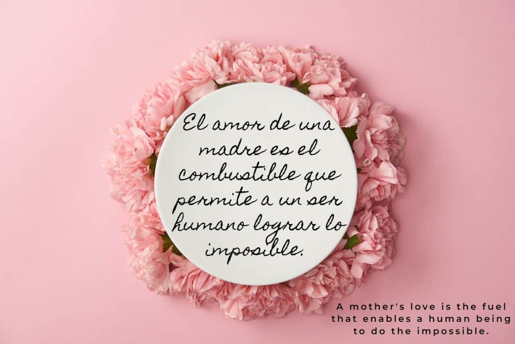 Heartfelt Mother Appreciation Quotes in Spanish